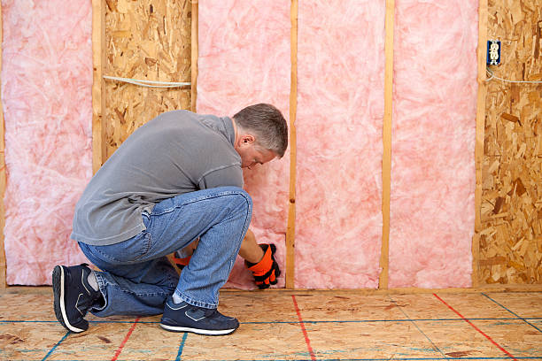 Best Commercial Insulation in Hamton, IL